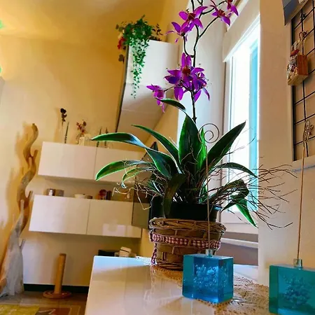 Casa Di Olli Apartment